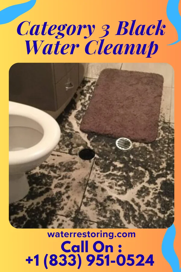 Category 3 Black Water Cleanup in Abingdon, VA