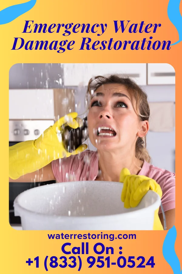 Emergency Water Damage Restoration in Abingdon, VA
