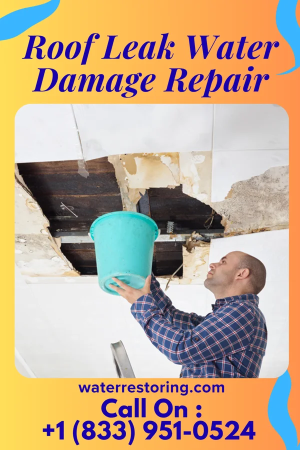 Roof Leak Water Damage Repair in Abingdon, VA