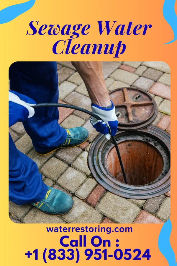 Sewage Water Cleanup in Abingdon, VA