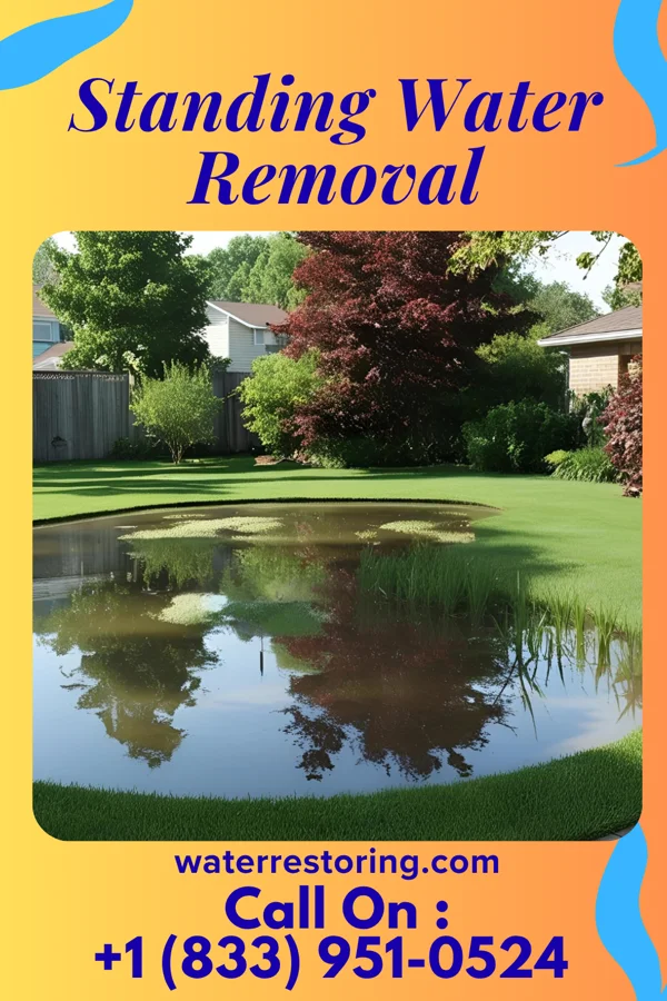 Standing Water Removal in Abingdon, VA